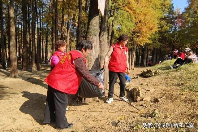 最美水杉林里志愿红