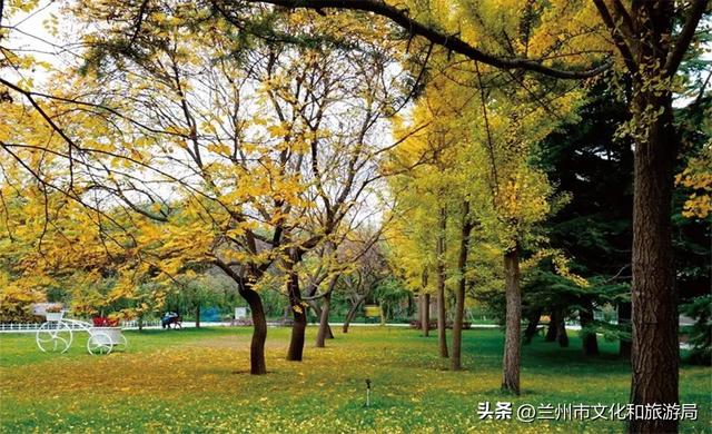嗨玩兰州！国庆、中秋双节前后兰州文旅推出百项群众文化活动指南