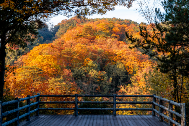 广元不远 周末优选 | 初露染山河，广元发来一份秋日邀请函