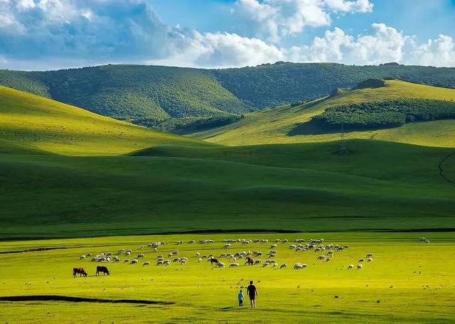 燕南赵北‖光影草原