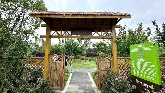 上海街头绿地罕见，这里却可大饱眼福！首座紫薇园“爆花”了