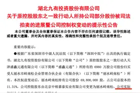 8355万元！郑州“95后”小伙儿拿下上市公司控股权图片