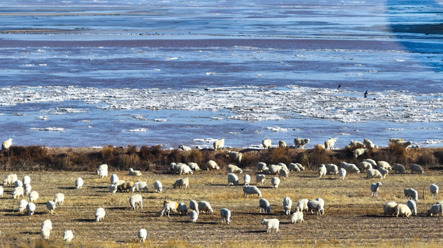 冬日奇观！落日流凌为黄河披上幻彩霓裳