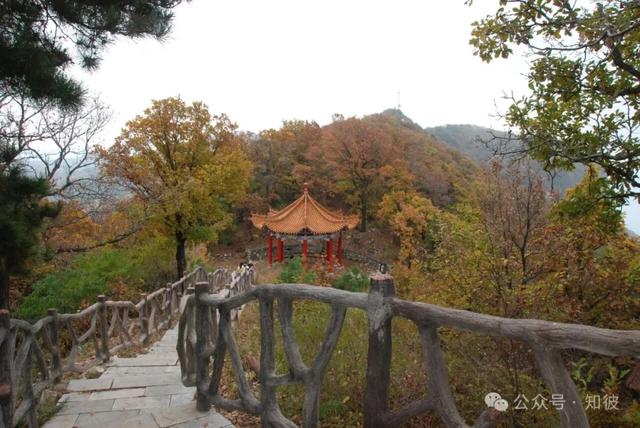 终于还是认识了天峻山的真面目 作者:马青山