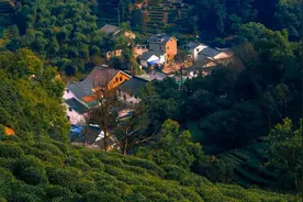 西湖景区最全攻略！每个地方都去能玩一个月，快收藏！图片