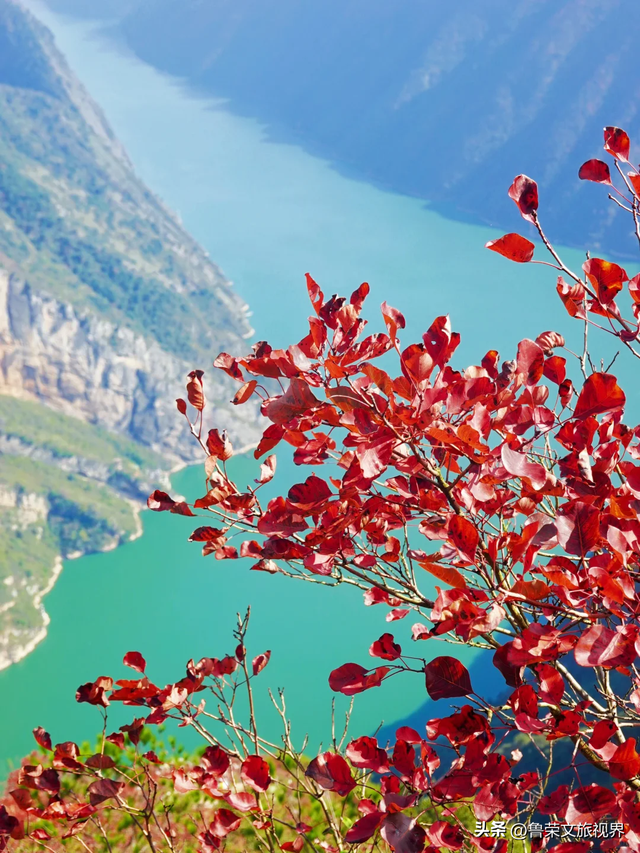 徒步三峡：霜叶漫山处，一步一千年