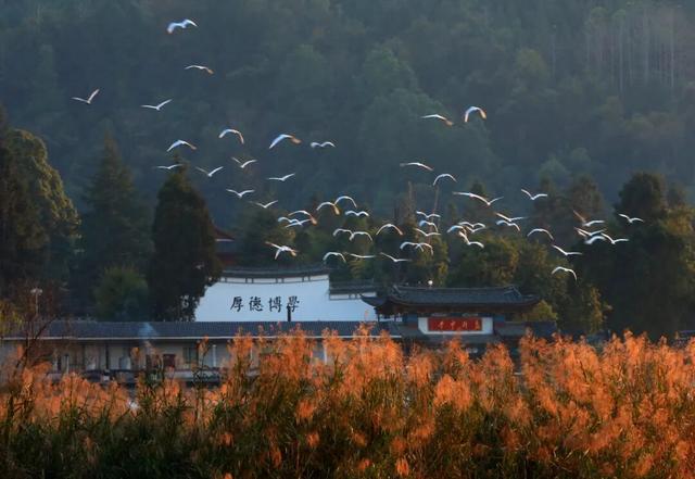 来腾冲，体验一场治愈身心的暖冬旅居