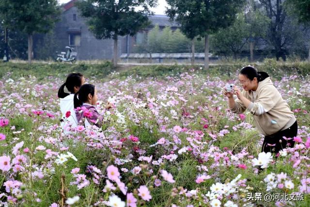 【遇见运河】沧州市：大运河畔秋景如画