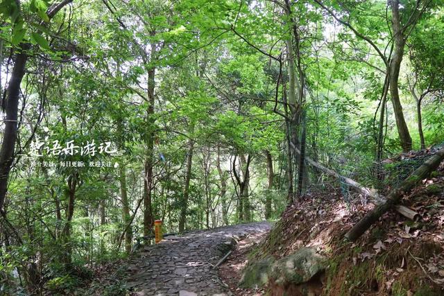 浙江宁波的4A级风景区，峡谷瀑布成为亮点，清静凉爽游玩很惬意