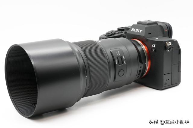 腾龙 90mm F/2.8 Di III MACRO VXD 上手使用体验
