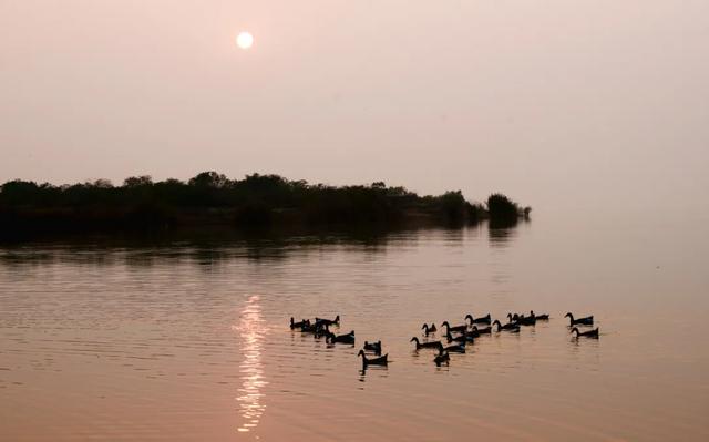@明光人,来女山湖罗咀,当一天“闲云野鹤”