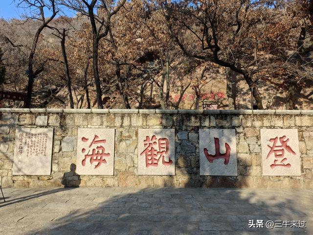 无为在歧路，2025之经行