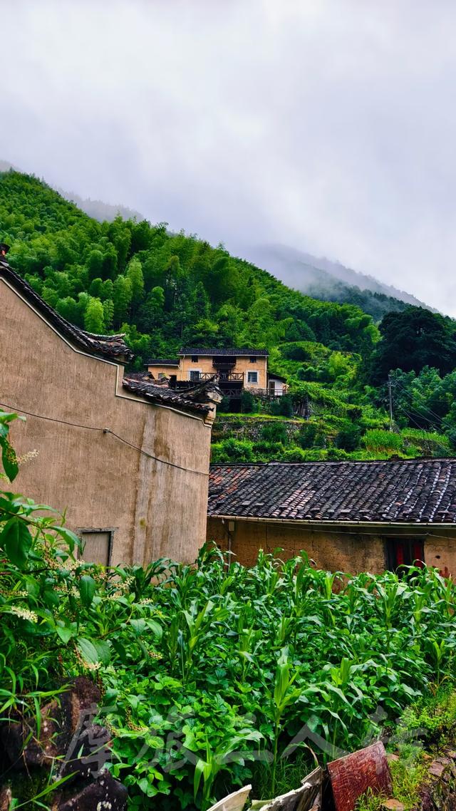 皖浙摩旅二人转——松阳横坑村篇（下）