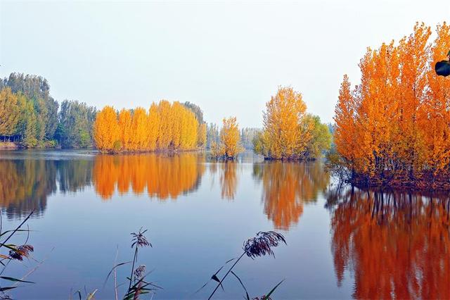 岱岳区夏张镇东城水库：色彩斑斓 秋景如画
