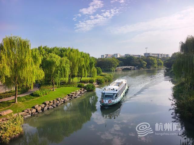 赏桂好时节，杭州城市河道赏桂点攻略来啦！