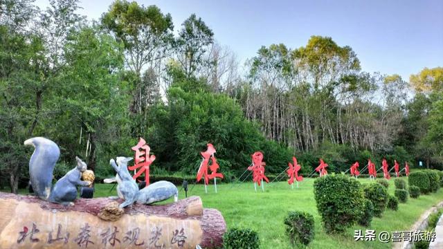 秘境北疆:加格达奇国家森林公园的生态与人文交响