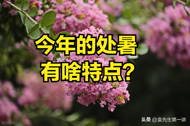 不是迷信！明日处暑，记得：1不供、2不出、3不穿、4不吃，早了解