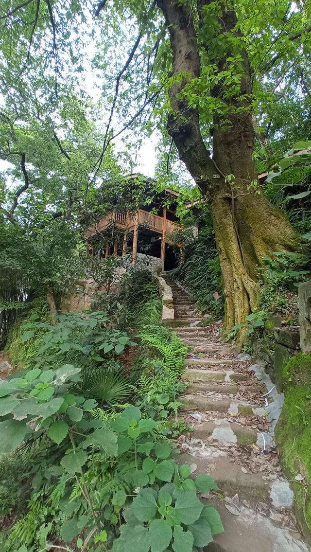 居然藏着这么多神仙的村子！挖到重庆6个冷门古村，后悔没早点来