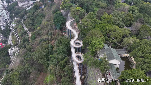 重庆鹅岭隐藏玩法曝光：从早到晚的山城魔幻之旅