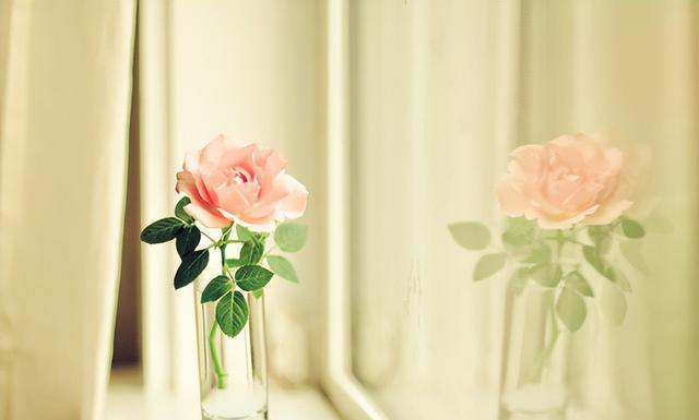 “人有福运，好梦将至”：这些梦的出现，是来渡你的