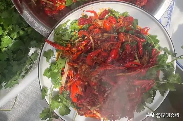 天晴就去！鸥鸟翩跹，这个免费国家级公园，藏着昆明最美的冬天