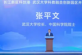 珞珈北上！揭秘长江新区武汉大学！图片