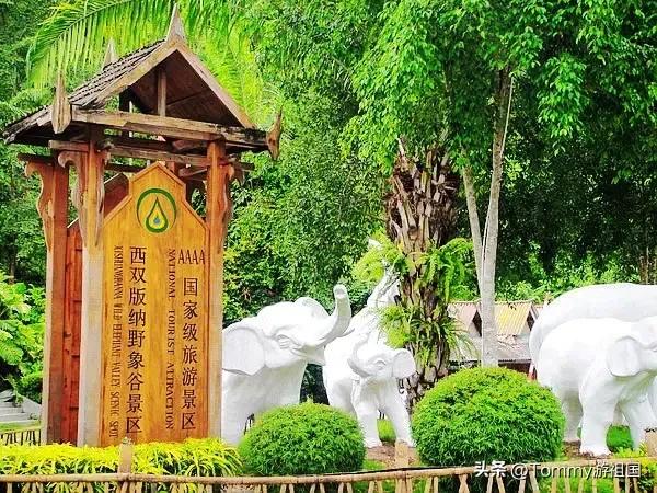 冬季到云南避寒，房车人最好选这些地方
