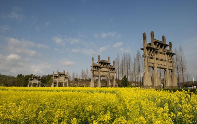 徽州人的“立体教科书”找到了！棠樾牌坊群：一砖一瓦都在诉说徽州的百年沉浮 | 皖美秋日