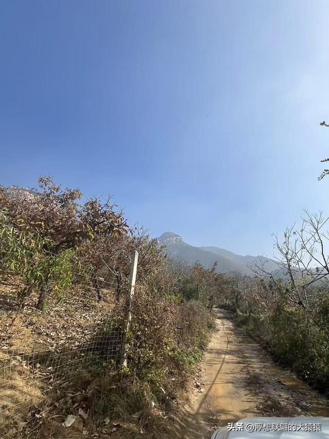 泰安岱岳区曹家庄隐佛崖打山泉水游记