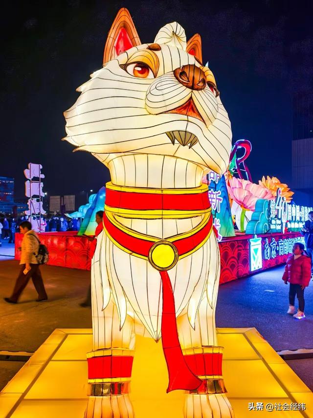 首秀!第 40 届秦淮灯会南部新城分会场 亮灯马年灯影芬兰风情出彩