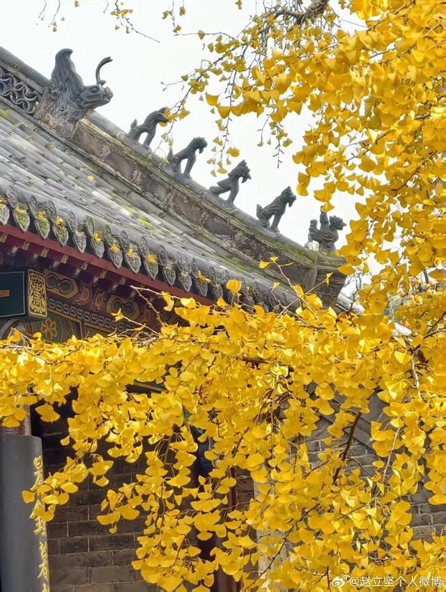 连发两篇!赵立坚推介日照这一美景:每一帧都是壁纸!