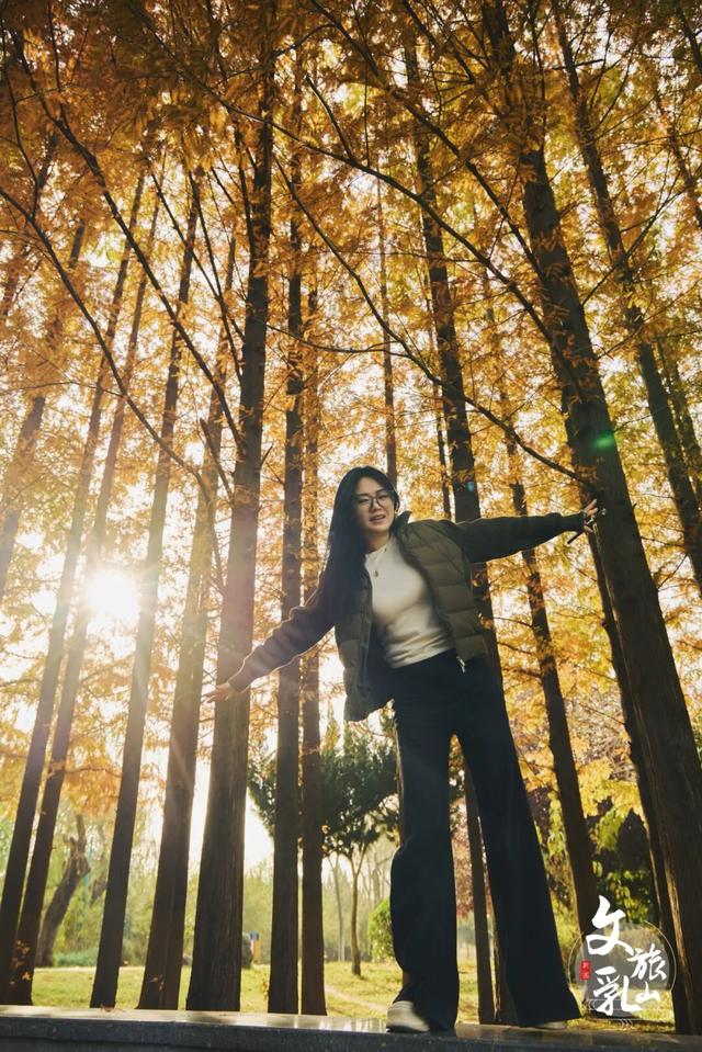 当秋风吻过乳山：一场关于色彩与治愈的漫步指南