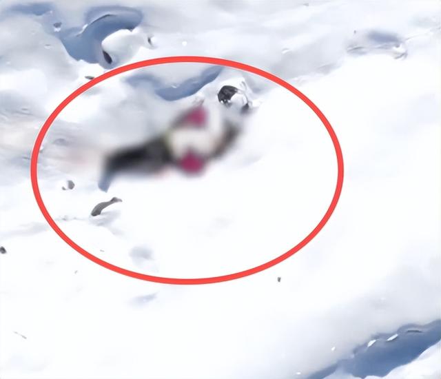 驴友雪山坠崖身亡，遇难画面曝光，身份被扒太可惜，网友却不同情