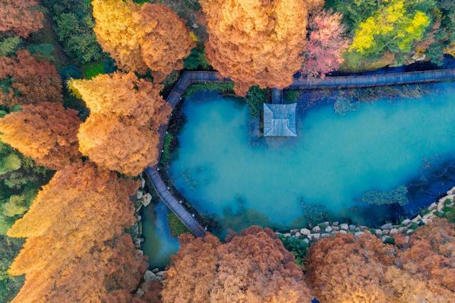 赏一山仙境 品百里金秋｜2025金华山踏秋活动盛大启幕