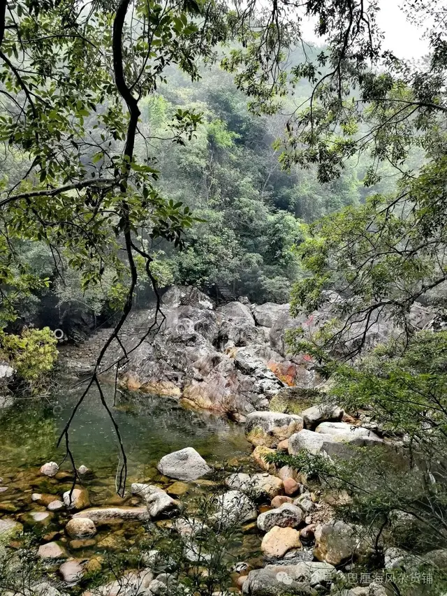 直下高原去海南（2）令人失望的十万大山国家森林公园