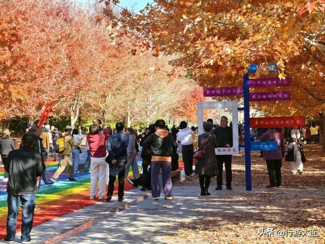 色彩峰值~走进横山公园“枫”景大片！