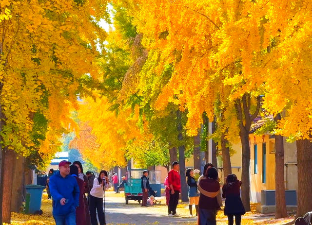 潍坊美景“告急”！这些地方错过等一年！