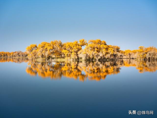 南疆寻秋--富士GFX100 II刻画南疆的雪山、沙漠与胡杨