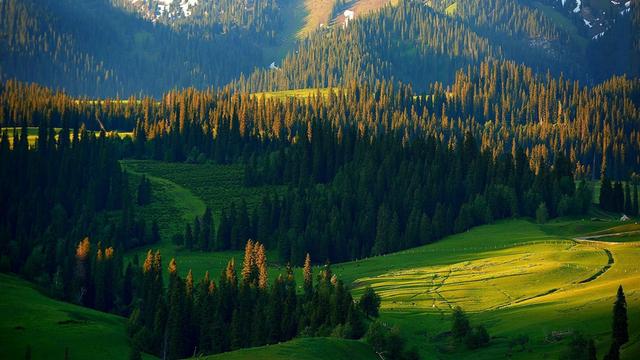 诗和远方 魅影新疆