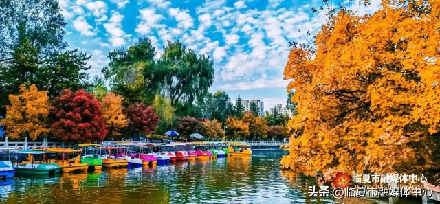 飞阅花都④丨漫步东郊公园 邂逅秋日风光 静享“天然氧吧”