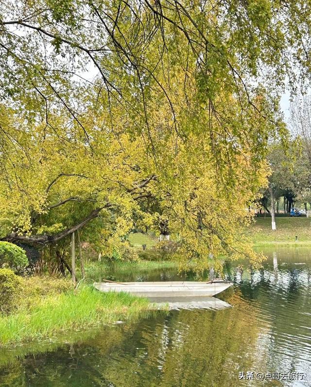 成都主城区最大人工湖，秋天超级惊艳，不要门票，地铁公交直达！