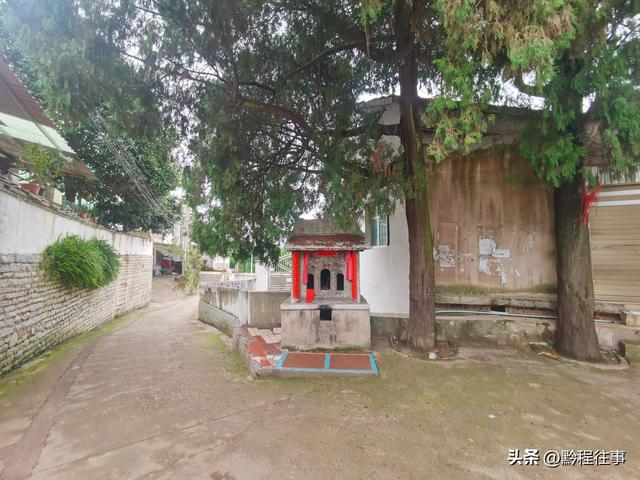 寻找一片僧人墓地，佛门高僧竟然最后落得尸骸无存