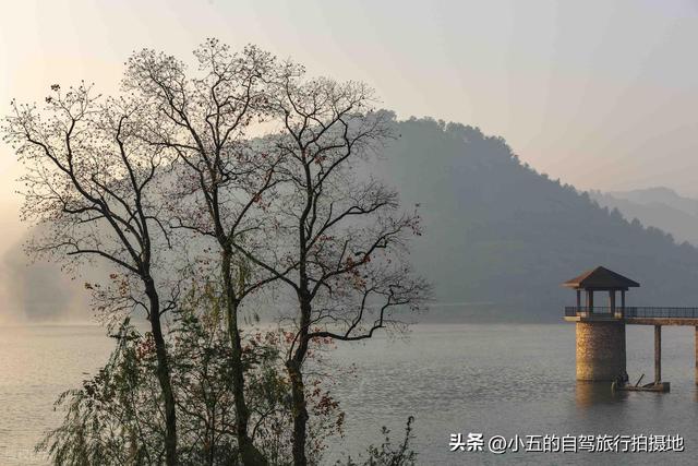 富阳秋季自驾攻略：66KM 赏银杏乌桕，2025 杏会路线全落地