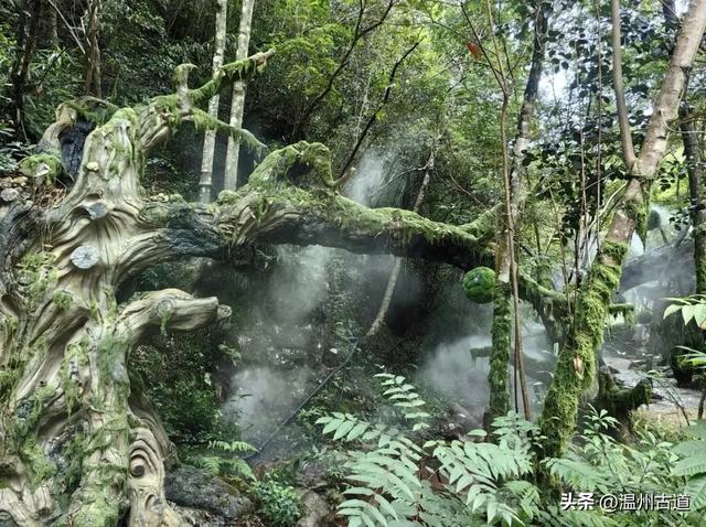 温州这个以畲族始祖命名的4A级景区，秘藏着一座“生物王国”！