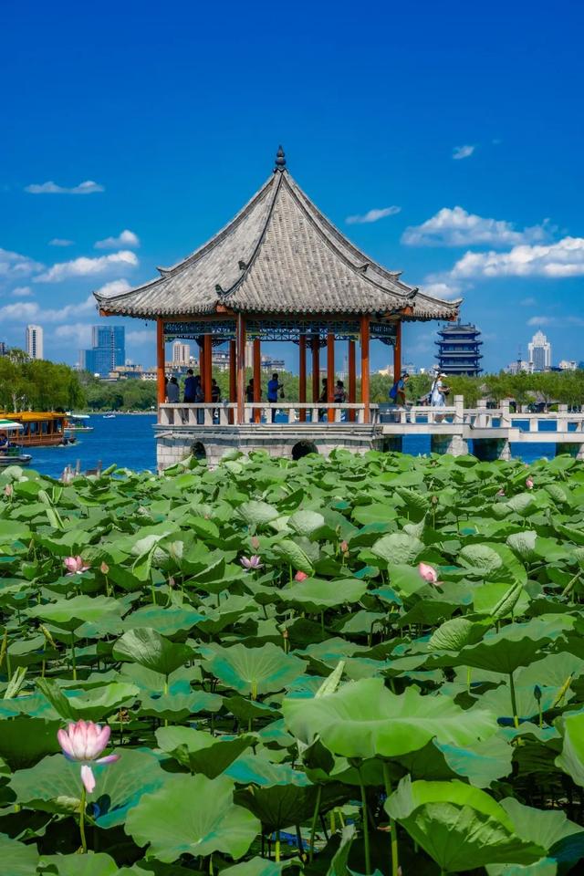又一批“济南寻美客”出炉！欢迎你也来将济南的美定格