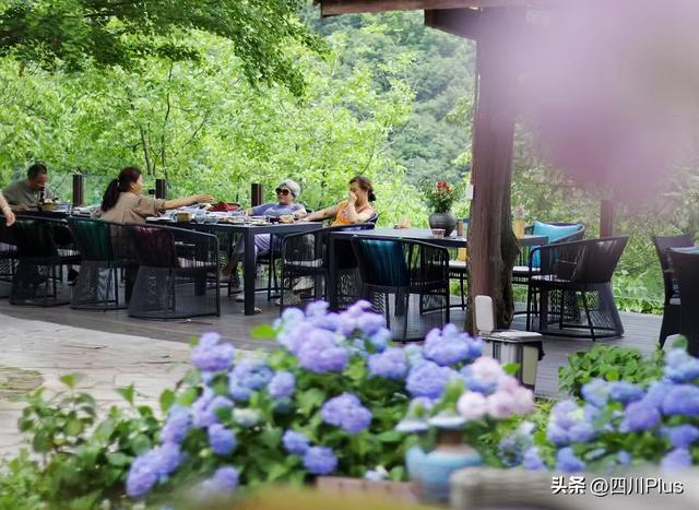 绵阳平武：20℃的清凉经济“热”起来 多元消费场景激发夏游活力