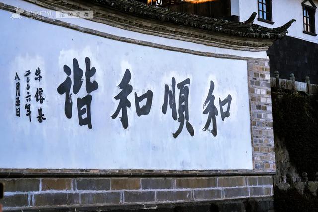 11月的云南腾冲,3000株银杏迎来黄金观赏期,美成人间仙境!