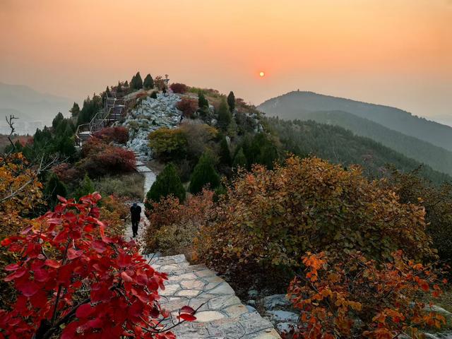 醉染蚰蜒山