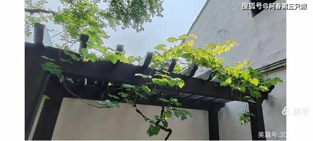 游绍兴： 徐渭艺术馆及青藤书屋
