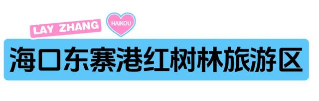 “兴”动海口！全城宠粉进行时→